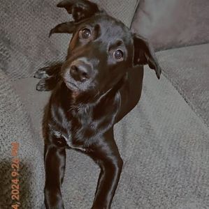 Meet your Posher, Katrina